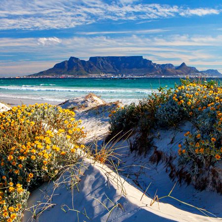 landmark travel destination in south africa in spring with flowers blooming